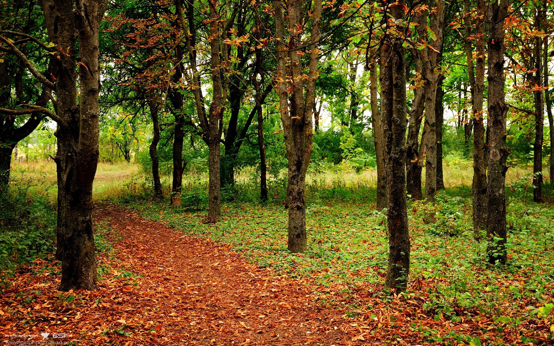 IM体育赛事直播入口-收割者与守护神，当德国战车驶过，巴斯托尼于抢七中重生