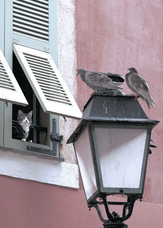 IM体育官方网-2026世界杯焦点战，委内瑞拉力克中国，亚洲足球的警钟与希望