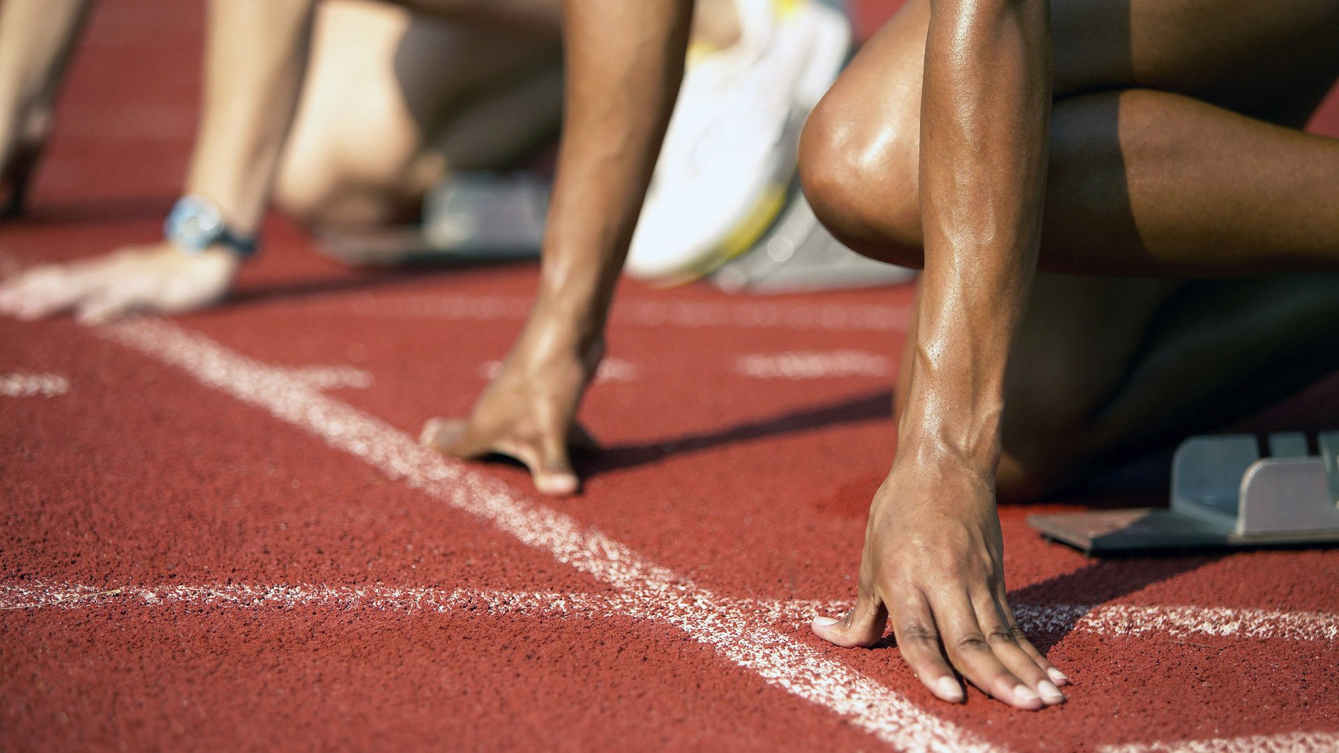 从NBA季后赛到埃及血拼，竞技场上的永恒对决